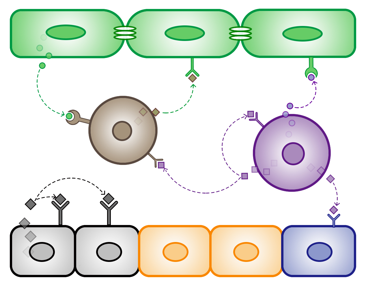 cell-cell-communication.4ebcb54c.png